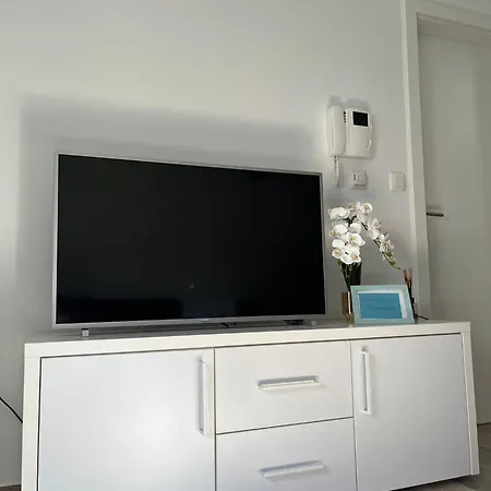 Brand New Lovely Bella